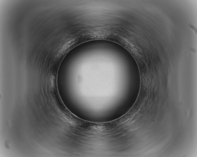 X0000097490071200802291443