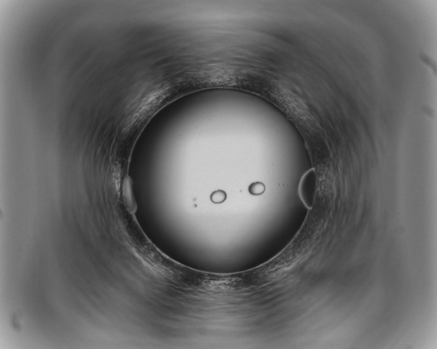 X0000097490072200802291443