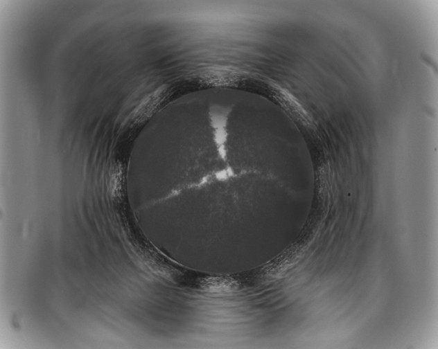 X0000097490073200802291443