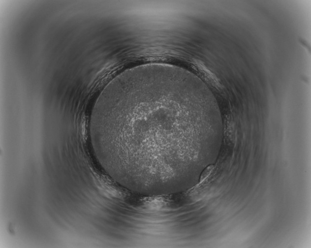 X0000097490074200802291443