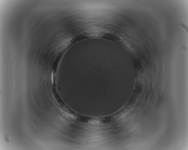 X0000097490076200802291443