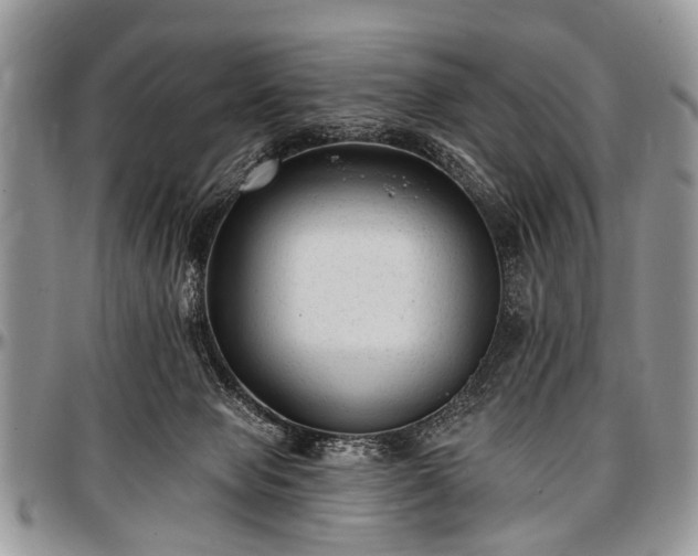 X0000097490077200802291443