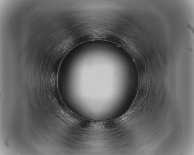 X0000097490078200802291443