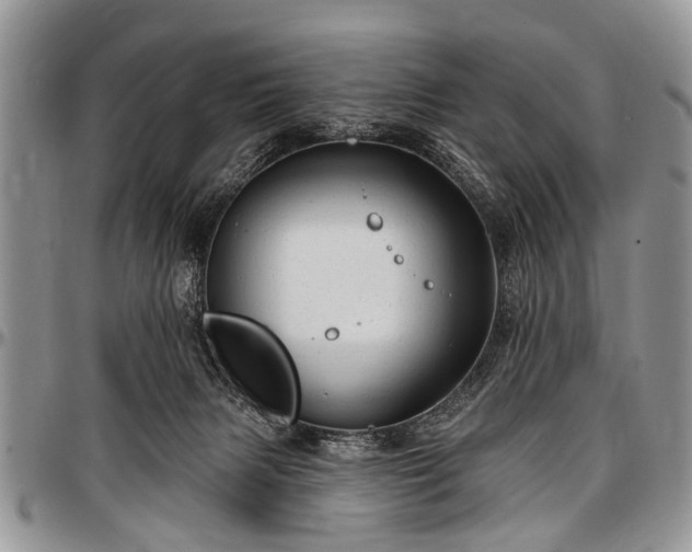 X0000097490079200802291443