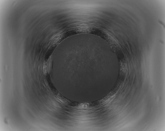 X0000097490080200802291443