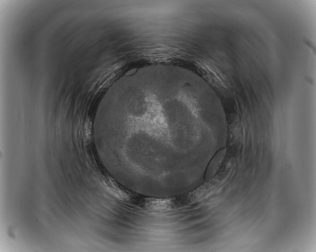 X0000097490081200802291443