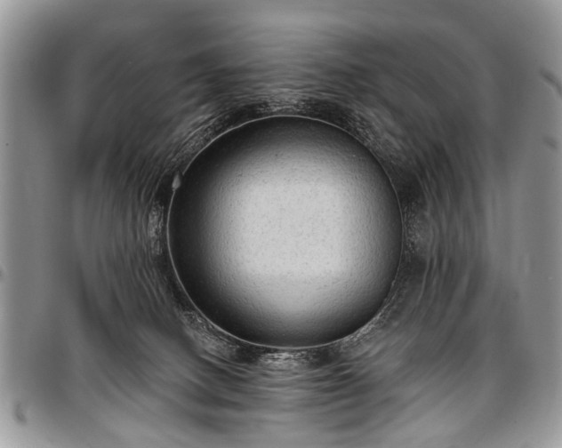 X0000097490082200802291443