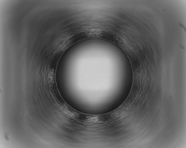 X0000097490083200802291443