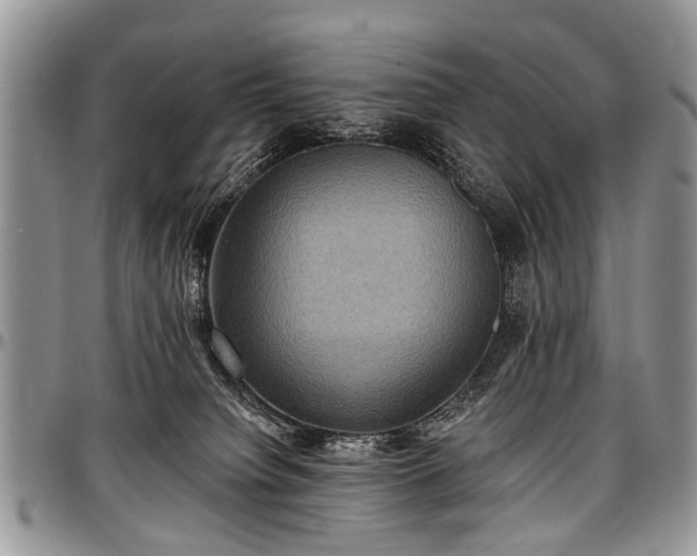 X0000097490084200802291443