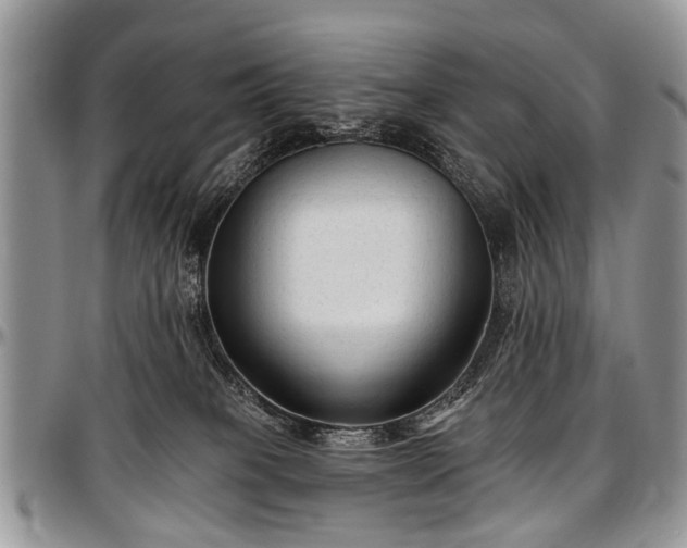 X0000097490085200802291443