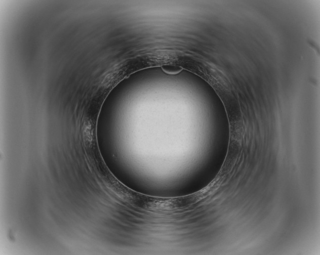 X0000097490086200802291443