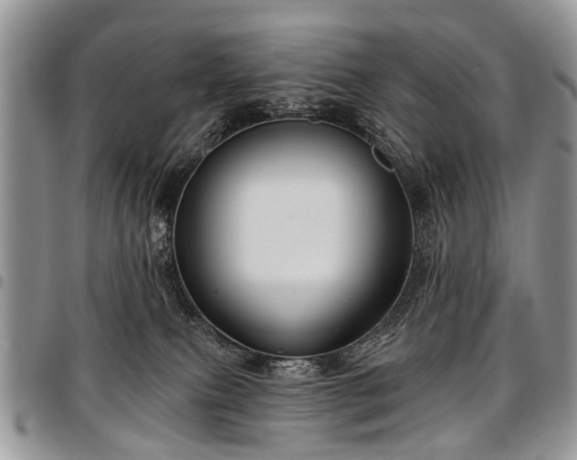 X0000097490087200802291443