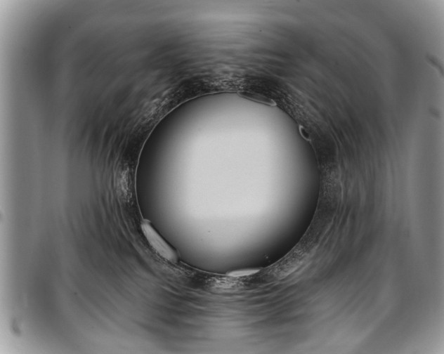 X0000097490088200802291443