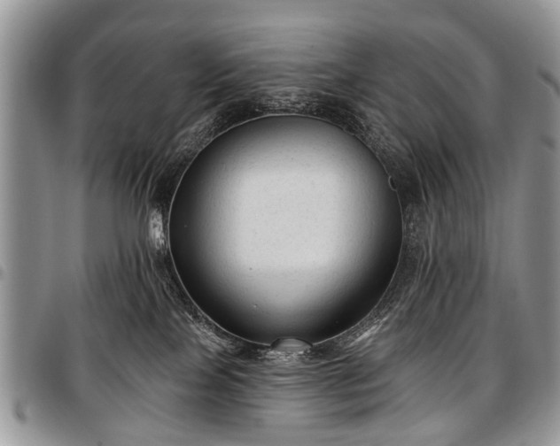 X0000097490089200802291443