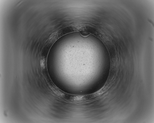 X0000097490090200802291443