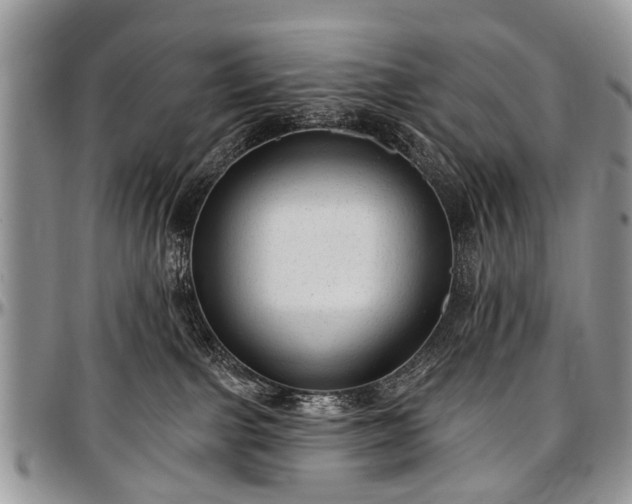 X0000097490091200802291443