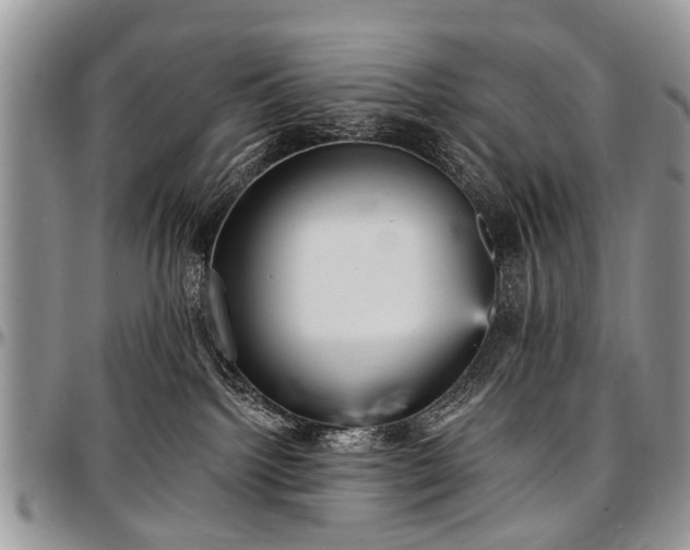 X0000097490092200802291443