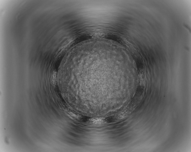 X0000097490093200802291443