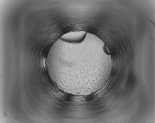 X0000097490094200802291443