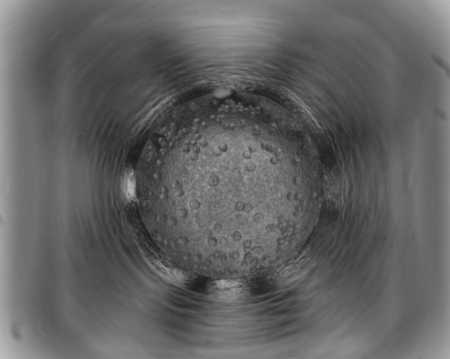 X0000097490095200802291443