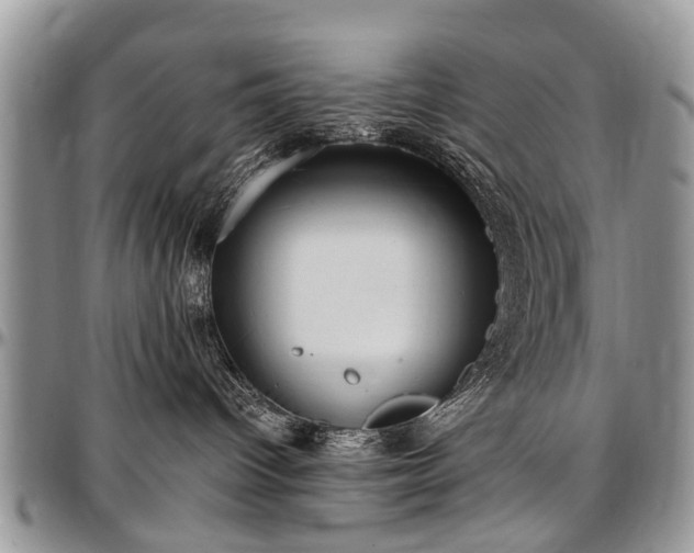 X0000097490096200802291443