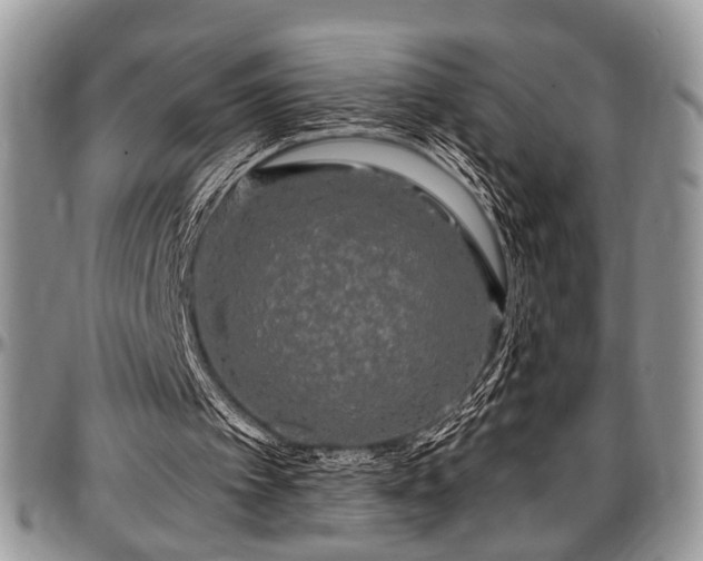 X0000097490097200802291442