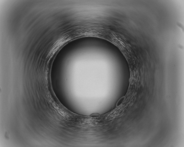 X0000097490098200802291442