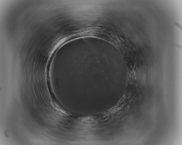 X0000097490100200802291442