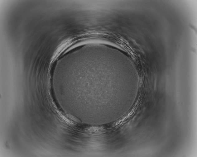 X0000097490101200802291442