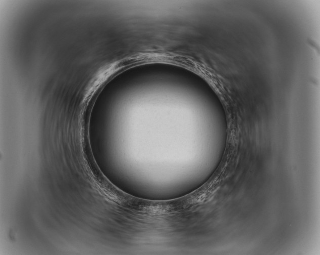 X0000097490103200802291442