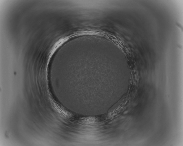 X0000097490104200802291442