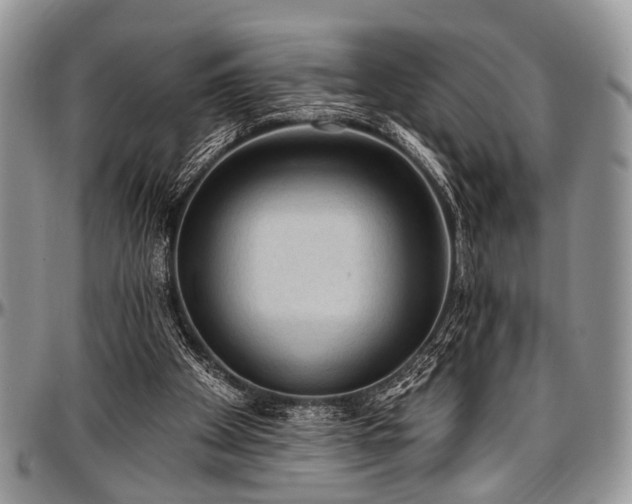 X0000097490105200802291442