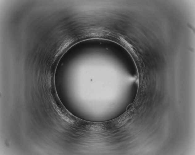 X0000097490106200802291442