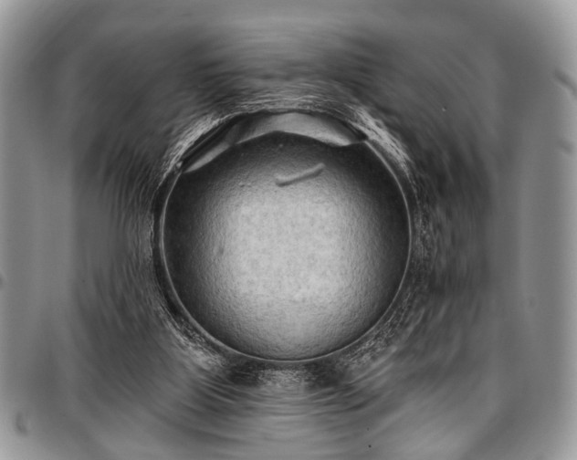 X0000097490107200802291442