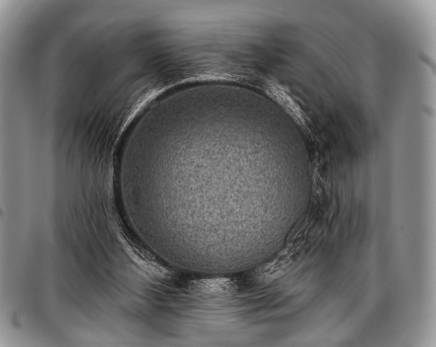 X0000097490108200802291442