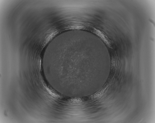 X0000097490110200802291442