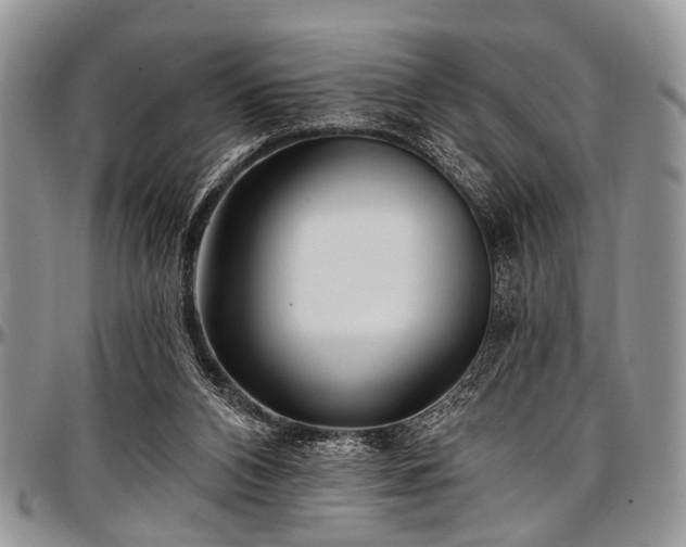 X0000097490112200802291442