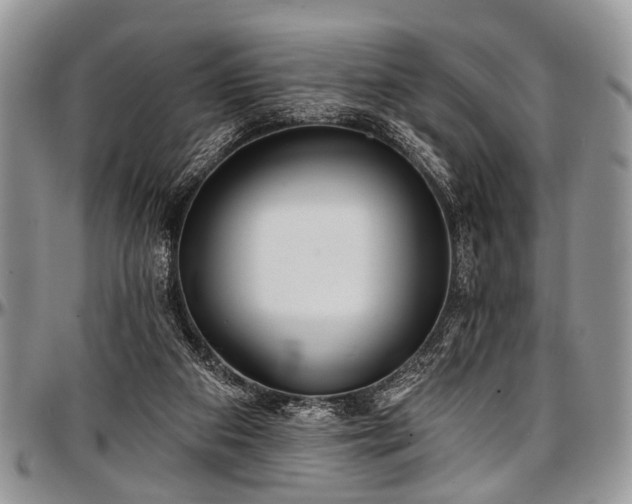 X0000097490113200802291442