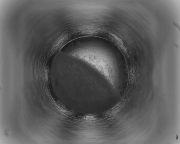 X0000097490114200802291442