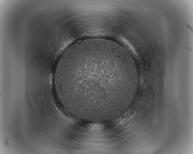 X0000097490115200802291442