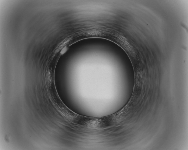 X0000097490116200802291442