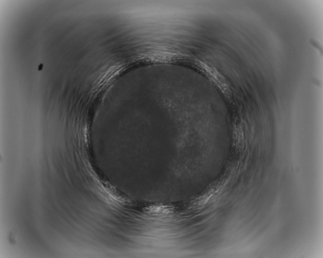 X0000097490117200802291442