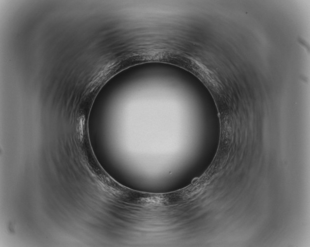 X0000097490118200802291442