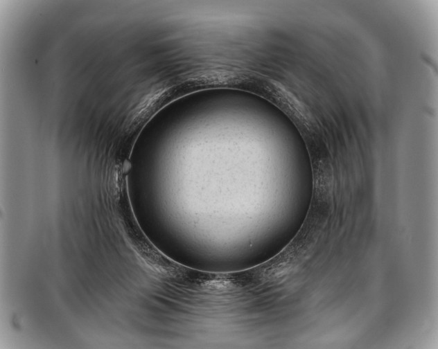 X0000097490119200802291442