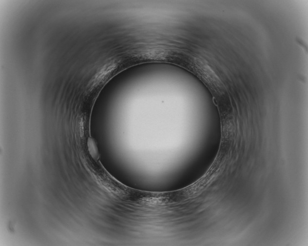 X0000097490120200802291442