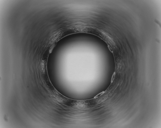 X0000097490121200802291442