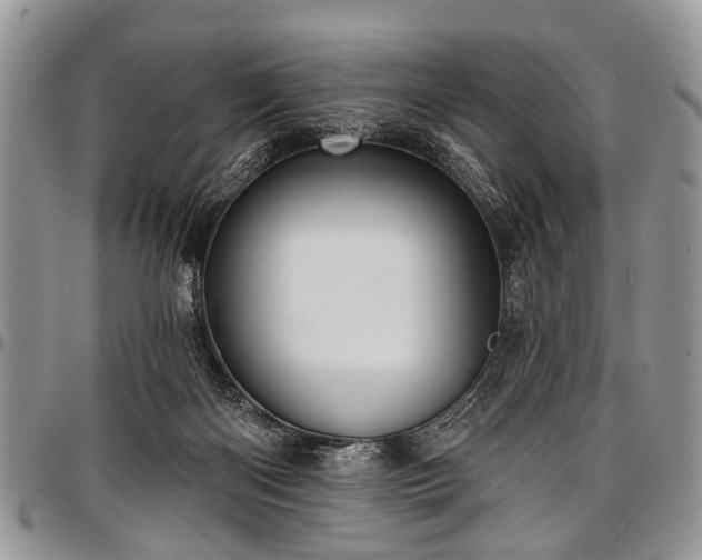 X0000097490122200802291442