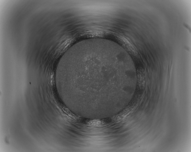 X0000097490123200802291442