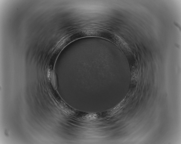 X0000097490124200802291442