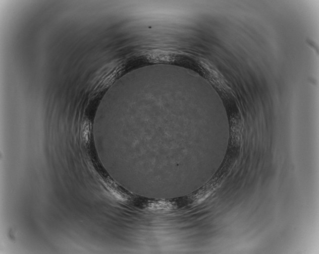 X0000097490125200802291442